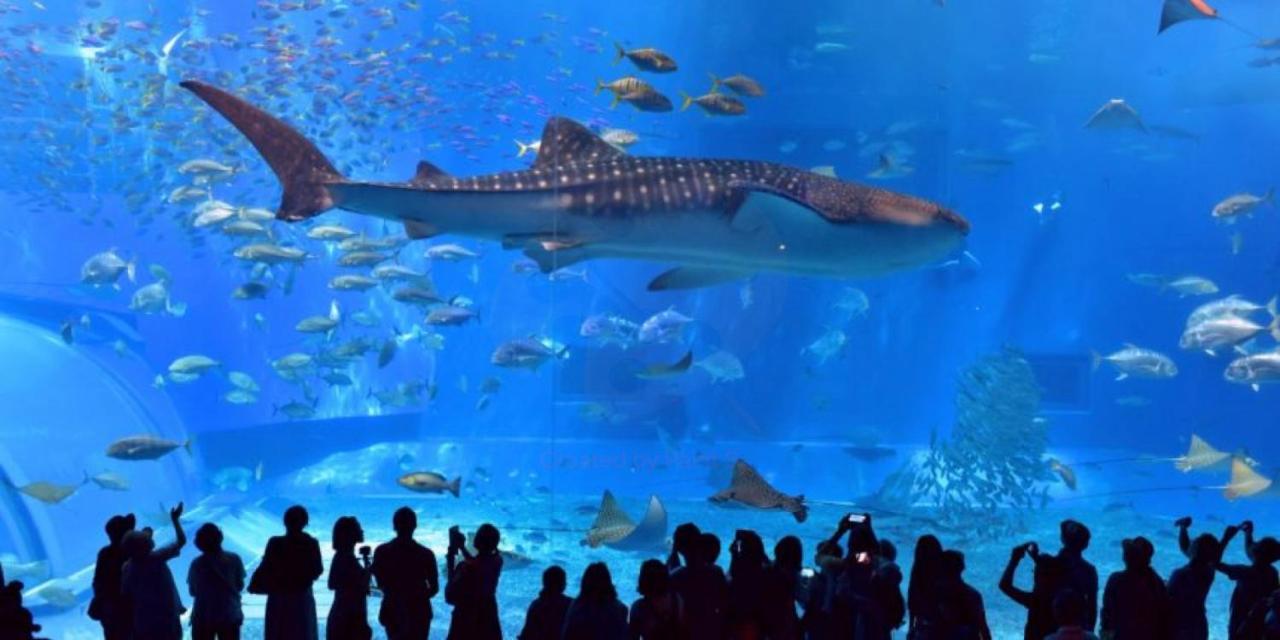 グランディオーソ沖縄ヴィラ恩納1 อนนะ ภายนอก รูปภาพ